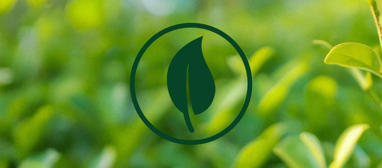 Środowisko Środowisko