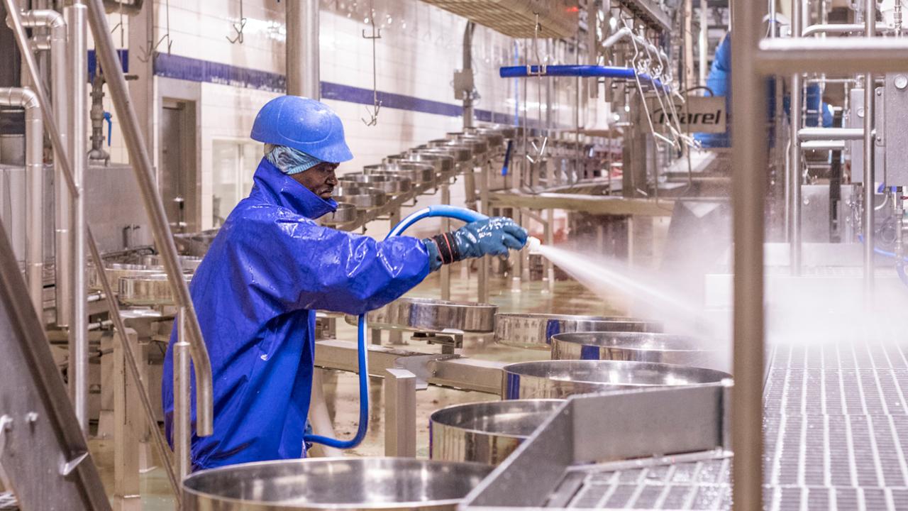 Ręczne czyszczenie obrazu Ręczne czyszczenie obrazu